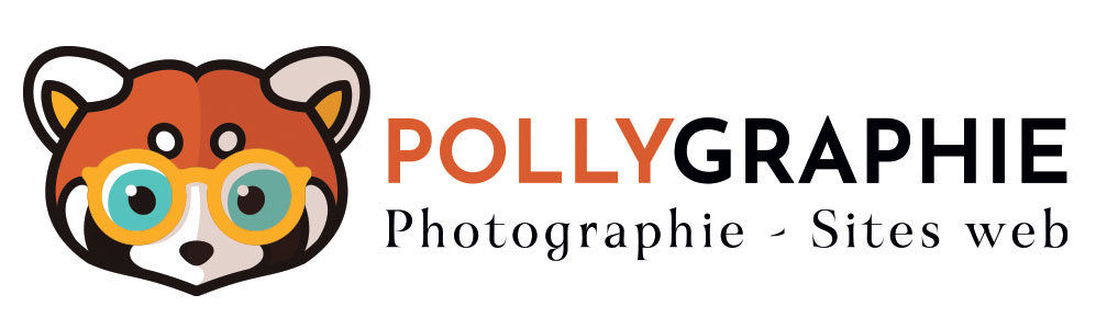 Pollygraphie